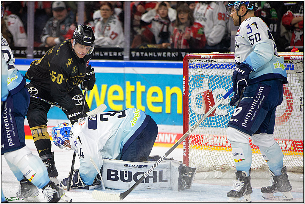 PENNY DEL;  Kölner Haie - ERC Ingolstadt; Köln, 25.11.2022